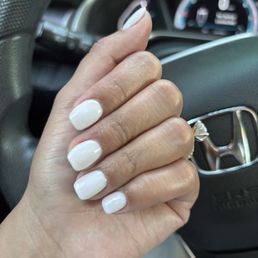 Builder Gel