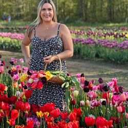Wicked Tulips Flower Farm