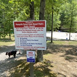 Pennyrile state park beach
