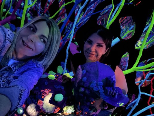 Meow Wolf Houston's Radio Tave by null