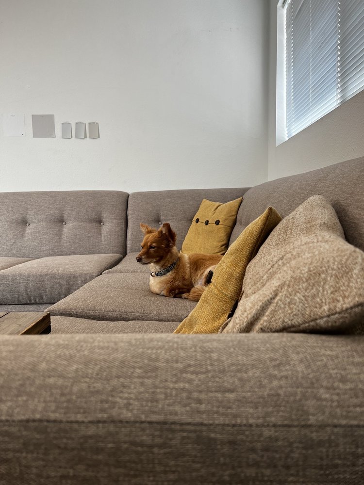 HUERTA FURNITURE Updated October 2024 119 Photos & 38 Reviews