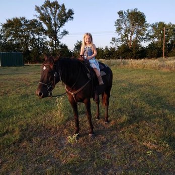 Fox’s Horsemanship - Horseback Riding Near Me - Pittsburg, Texas Fox’s Horsemanship - Horseback Riding Near Me - Pittsburg, Texas