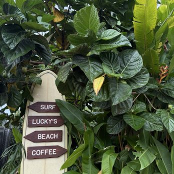Lucky's - Coffee & Tea Near Me - Haleiwa, Hawaii