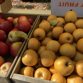 Cold Spring Farmers' Market - Wow! Liberty Orchards has some of the best apples I've ever tasted! This T gold is their own variety! They made it in their orchard! - Farmers Market Near Me - Garrison, New York