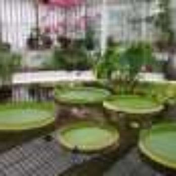 National Botanic Gardens - Parks Near Me - Glasnevin, D