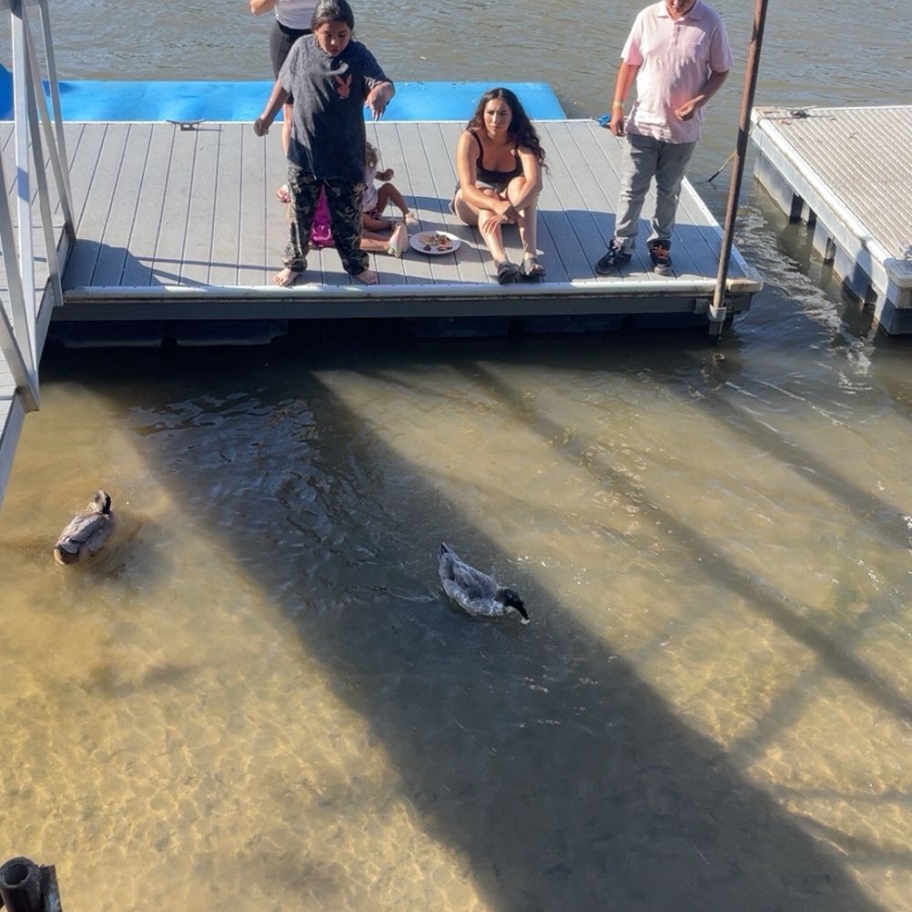 Ko-Ket Resort - Ducks - Hotels Near Me - Isleton, California