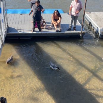 Ko-Ket Resort - Ducks - Hotels Near Me - Isleton, California Ko-Ket Resort - Ducks - Hotels Near Me - Isleton, California