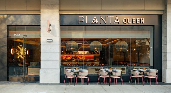PLANTA Queen by null
