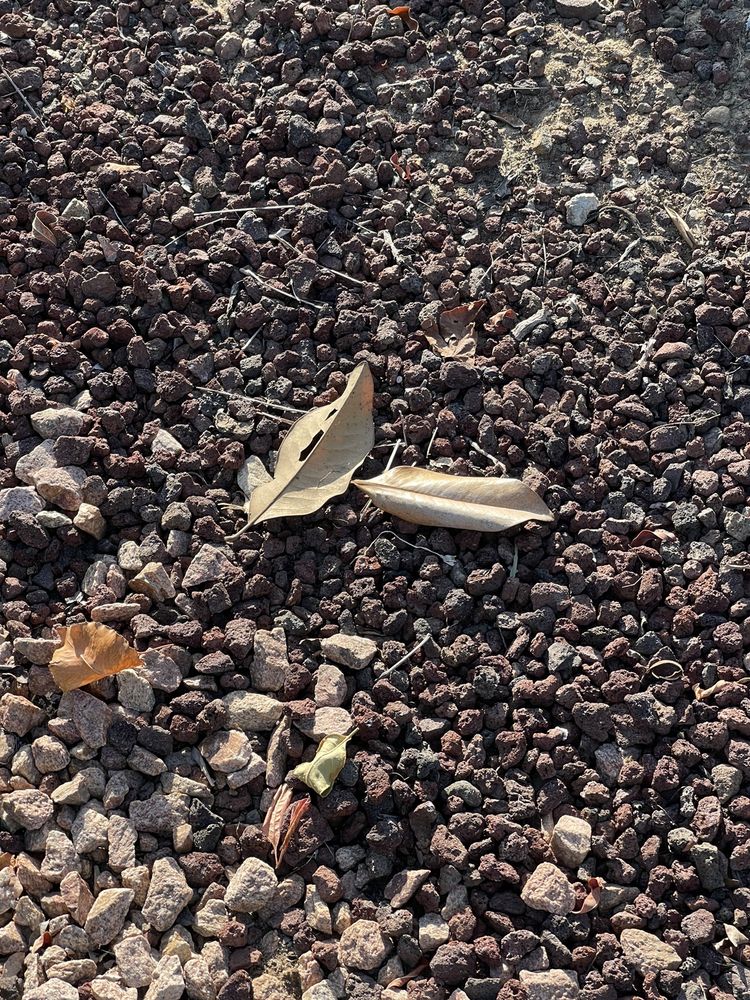 ALFREDO’S LANDSCAPING AND TREE SERVICE Updated August 2024 Escondido, California