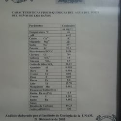 Peñón de los Baños - Composición química de las aguas del Peñón.