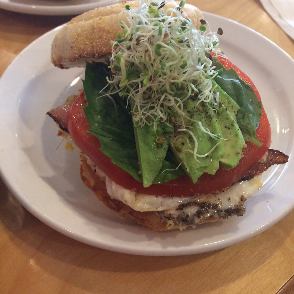 Seven Bays Bouldering - Breakfast sandwich - served til 2! - Rock Climbing Near Me - Halifax, Nova Scotia Seven Bays Bouldering - Breakfast sandwich - served til 2! - Rock Climbing Near Me - Halifax, Nova Scotia