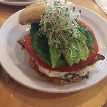Seven Bays Bouldering - Breakfast sandwich - served til 2! - Rock Climbing Near Me - Halifax, Nova Scotia Seven Bays Bouldering - Breakfast sandwich - served til 2! - Rock Climbing Near Me - Halifax, Nova Scotia