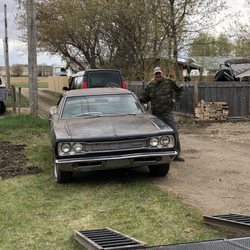 Greenwood Rentals - Car hauler, car hauling, trailer, trailers, Greenwood rentals, mopar,