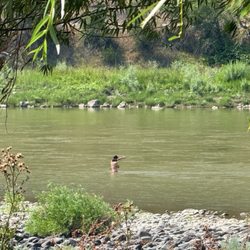 Swiftwater RV Park