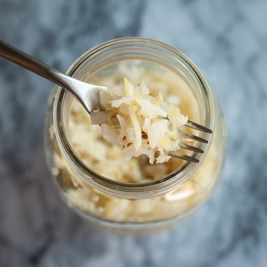Tasty Probiotics Logo