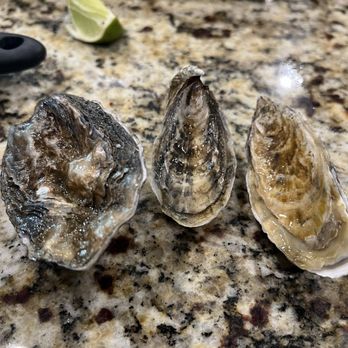 Taylor Shellfish Farms - Big size difference. - Seafood Near Me - Seattle, Washington Taylor Shellfish Farms - Big size difference. - Seafood Near Me - Seattle, Washington