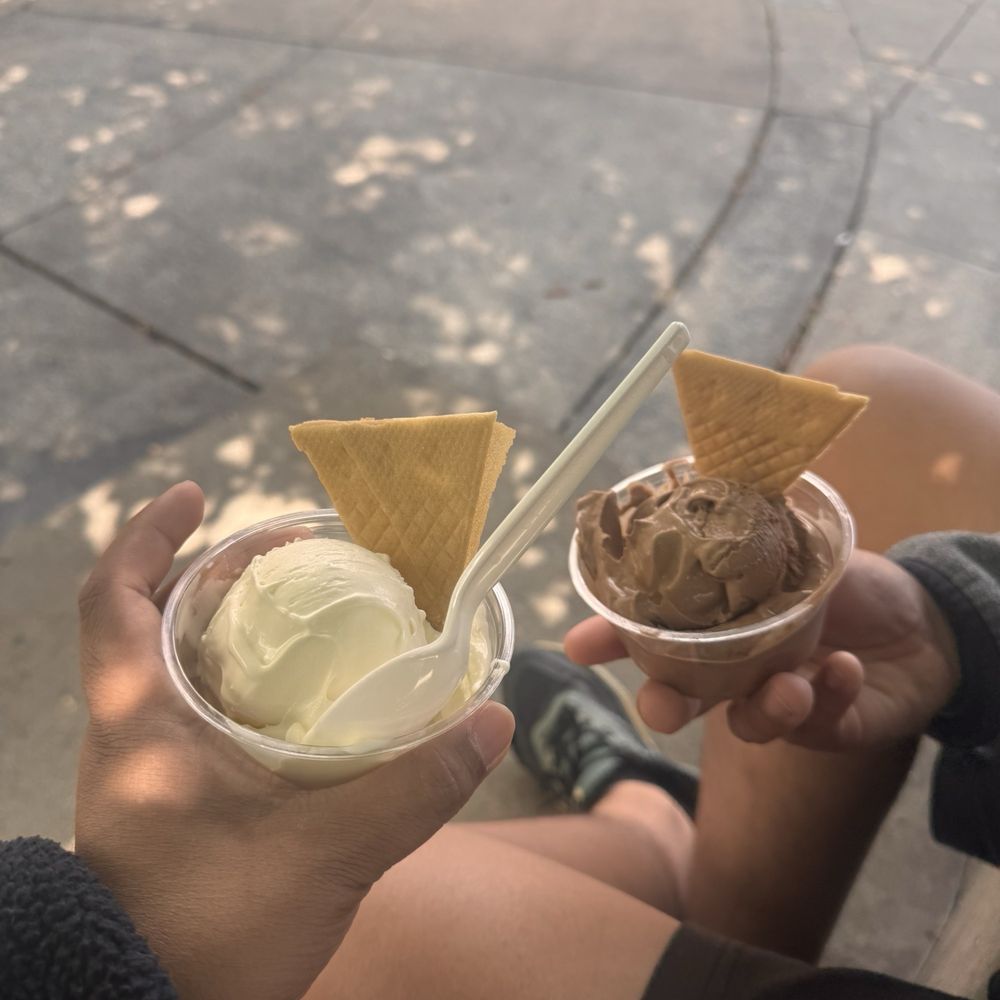 Kopp's Frozen Custard - Chocolate Vanilla Swiss Chocolate - Ice Cream & Frozen Yogurt Near Me - Greenfield, Wisconsin