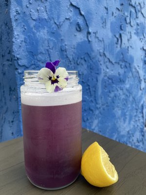 Gallivant Coffee by null