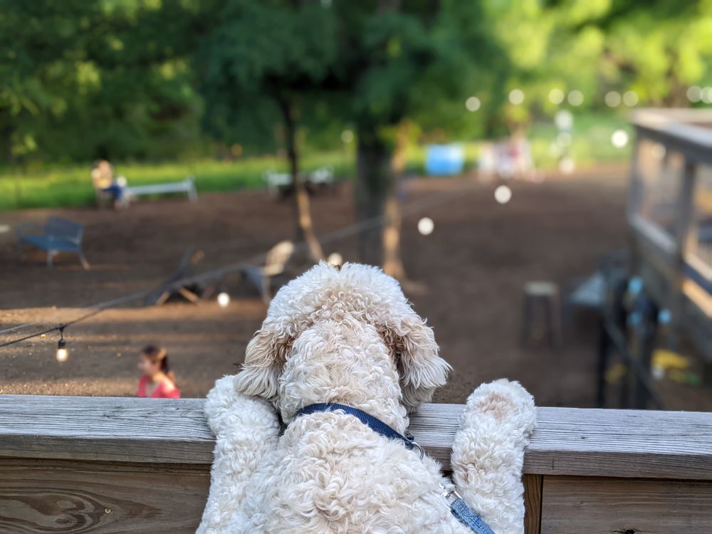 GRRROWLER'S Tap Room & Beer Garden