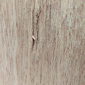 US Door & More - Door Sales/Installation Near Me - Tampa, Florida US Door & More - Door Sales/Installation Near Me - Tampa, Florida