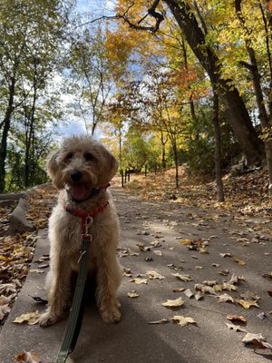 Chastain Park by null