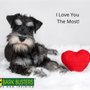 Photo of Bark Busters Home Dog Training Orland Park