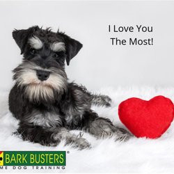 Bark Busters Home Dog Training Orland Park - Happy Valentine's Day!