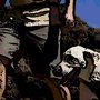 Sir Wagalot Dog Walking & Pet Care