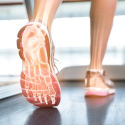 SoundSide Physical Therapy, PC