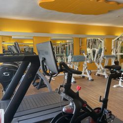 Fit & Fight Gym - Peloton Bike & Peloton Treadmill for our clients
