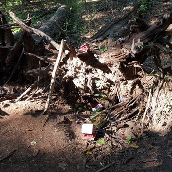 South Mountain Fairy Trail - Kids Activities Near Me
