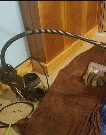 Slide of Zippy Drain