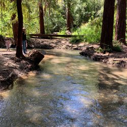 Redwood Grove Nature Preserve