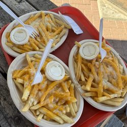 Dixie Chicken - Tijuana fries