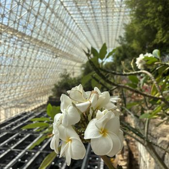 Biosphere 2 - Flower above the 'ocean' section. - Museums Near Me - Oracle, Arizona Biosphere 2 - Flower above the 'ocean' section. - Museums Near Me - Oracle, Arizona
