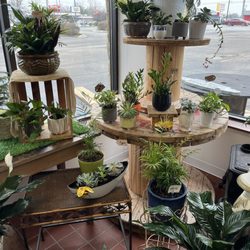 Bud & Bloom Florist Boutique and Home - Plants
