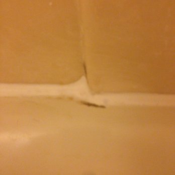 Quality Inn & Suites - Black mold - Hotels Near Me - Hobbs, New Mexico