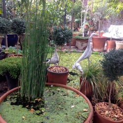La Mariposa - Jardines acuáticos