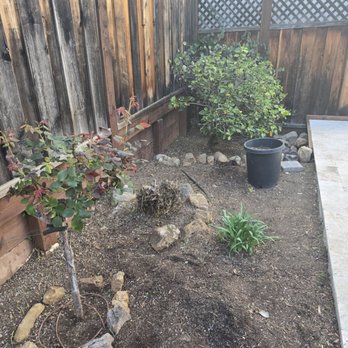Edward Services - After - Gardeners Near Me