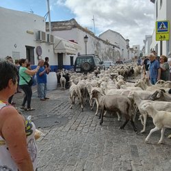 Abacería La Morada