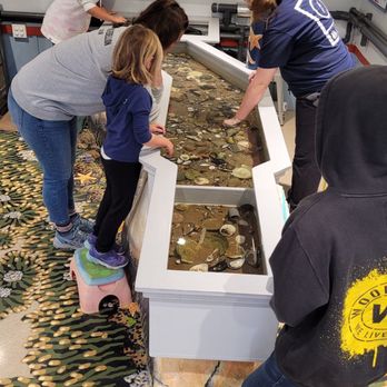 Maritime Goucester - Touch pool full of crabs, shrimps, snails, and more! - Museums Near Me - Gloucester, Massachusetts