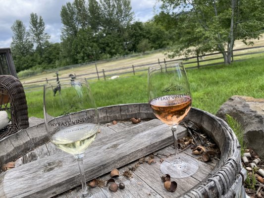 Wy'East Vineyards by null