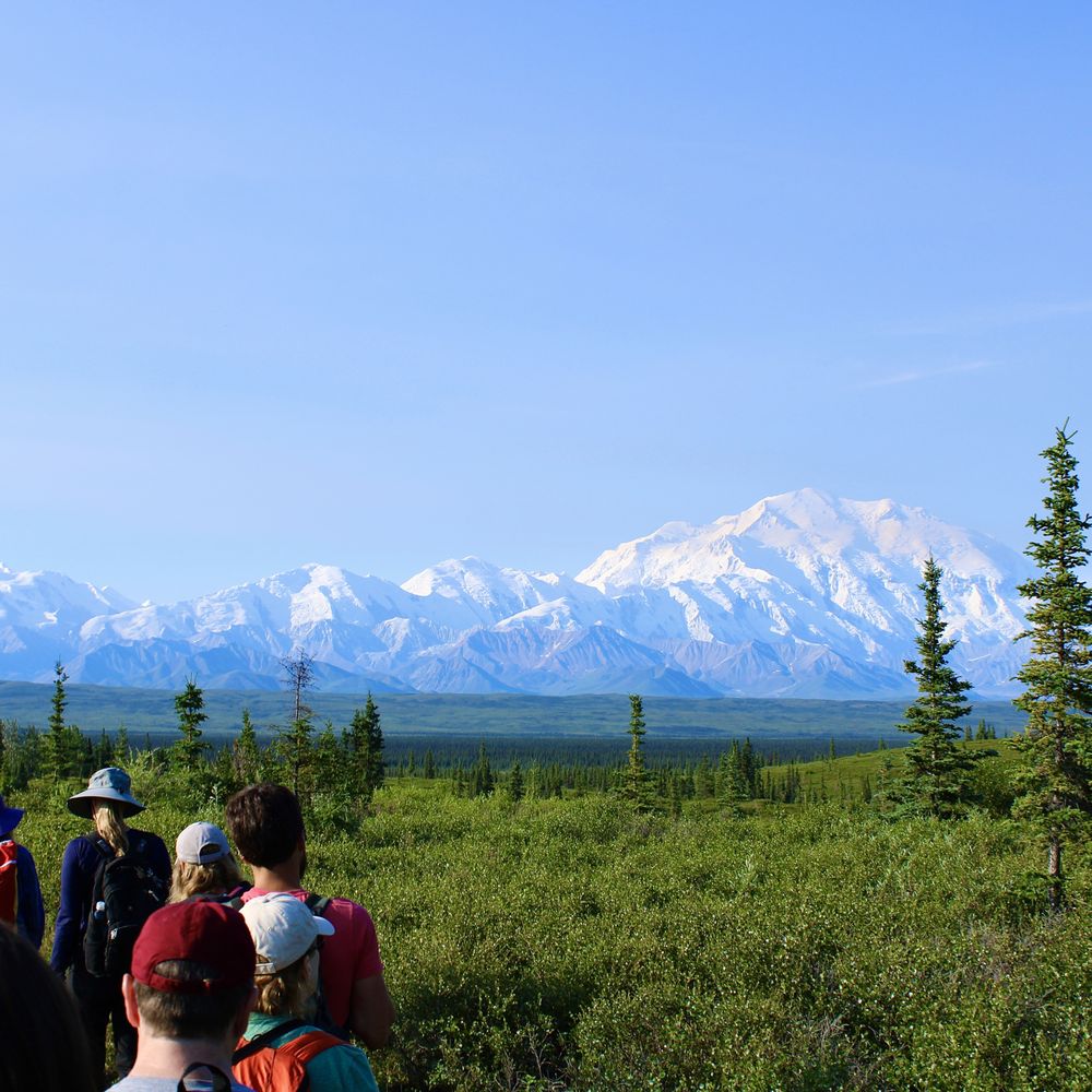 Denali National Park and Preserve - Parks Near Me