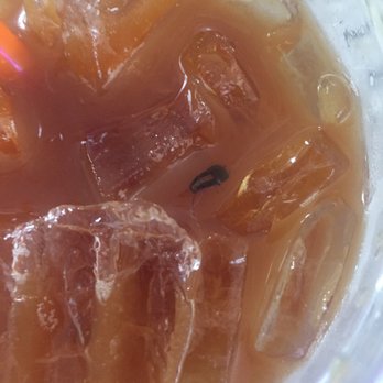 Dunkin' - There was a bug in my iced coffee - Donuts Near Me - Apex, North Carolina