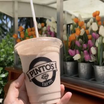 Pinto's Farm - Venues & Event Spaces Near Me - Miami, Florida