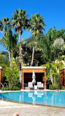 The Ritz-Carlton Naples, Tiburón by null