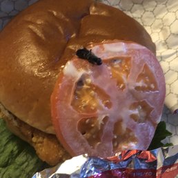 Bug in my chicken sandwich!