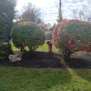 Pearce Pro Lawns - Lawn Services Near Me Pearce Pro Lawns - Lawn Services Near Me