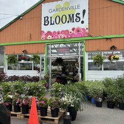 Gardenville Blooms