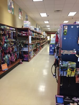 foldable pet carrier kmart